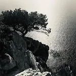 K6 Piscine Vue Impasse Privée Villa Cassis