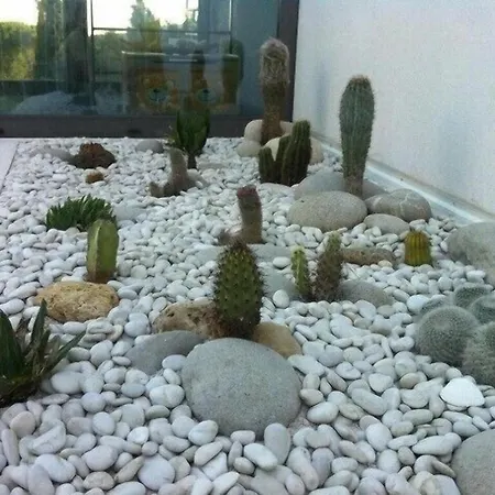 K6 Piscine Vue Impasse Privee Cassis