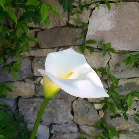 K6 Piscine Vue Impasse Privee Villa