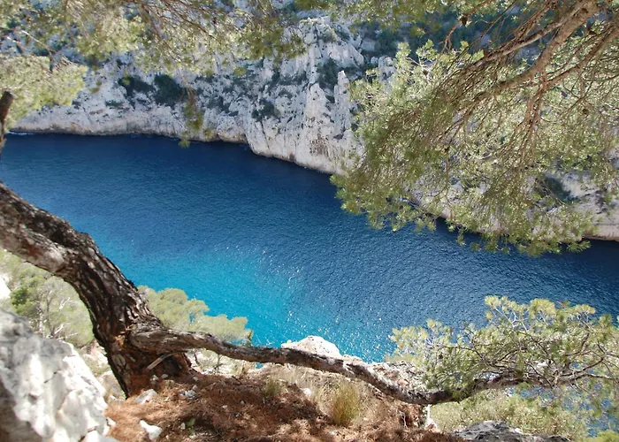 Willa K6 Piscine Vue Impasse Privee Cassis