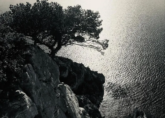 K6 Piscine Vue Impasse Privee Willa Cassis